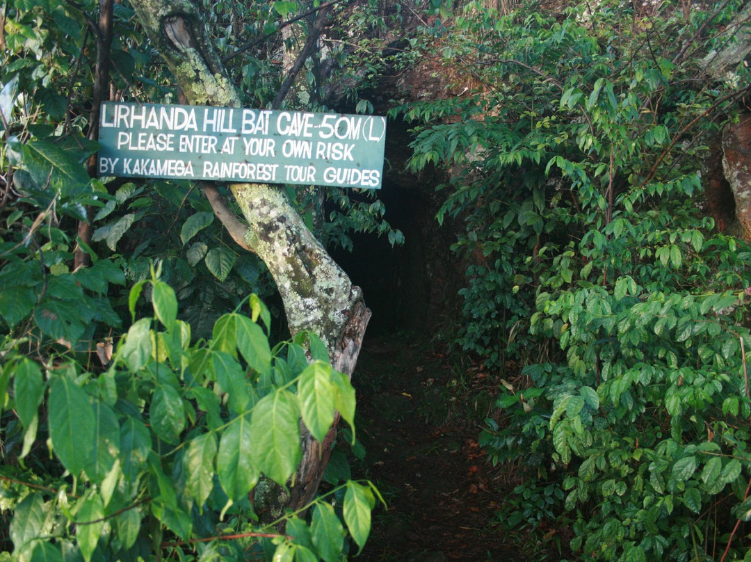 KEEP Bandas at Kakamega Forest主图