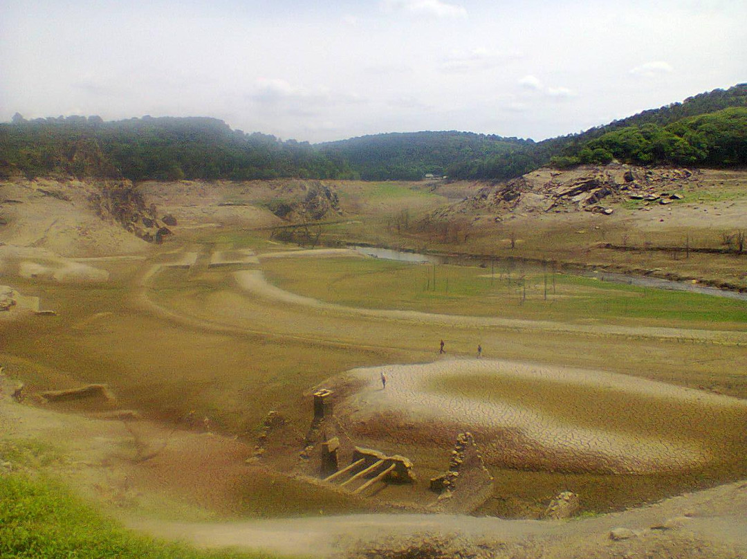 Lac de Guerlédan景点图片