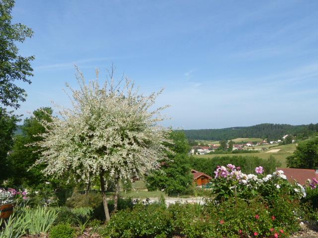 Domaine de la Charmette-浴室