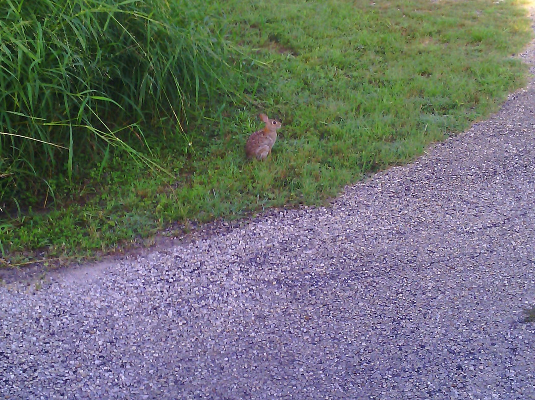 Lake Corpus Christi State Park-Mathis必去景点