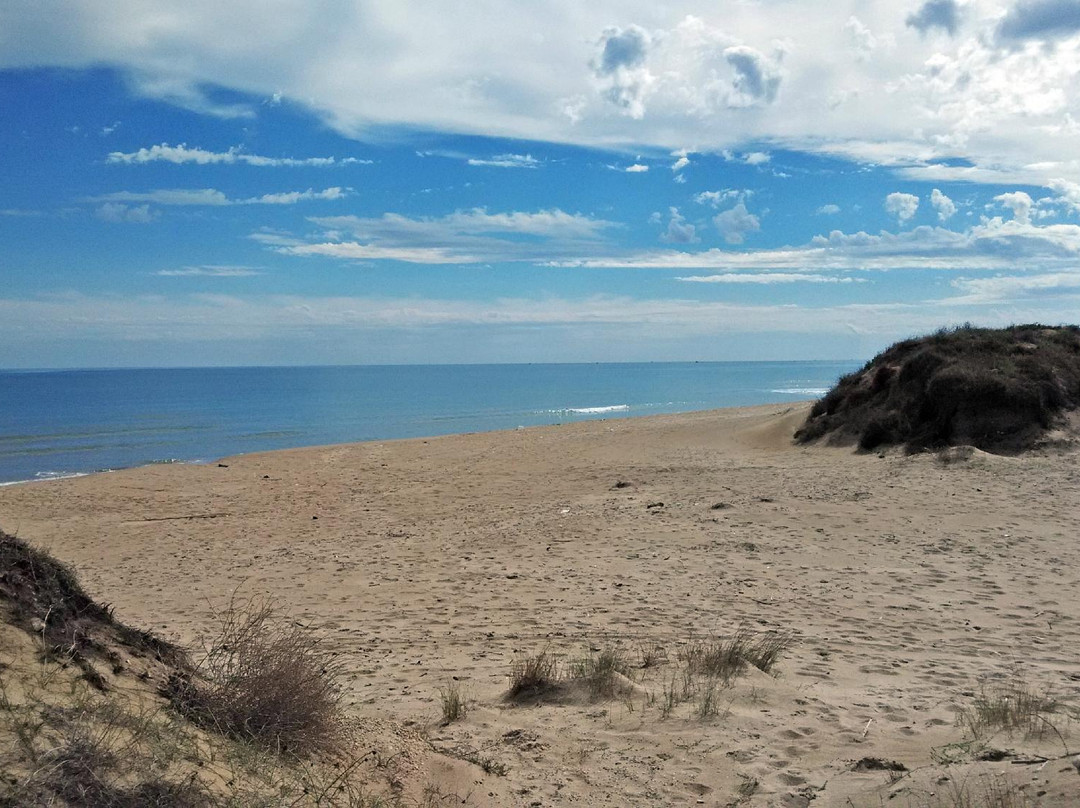 Playa De La Devesa Del Saler景点图片