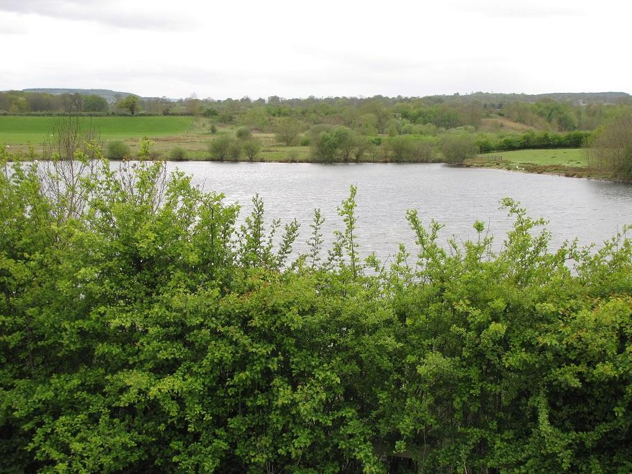 Marfield Wetlands Nature Reserve景点图片