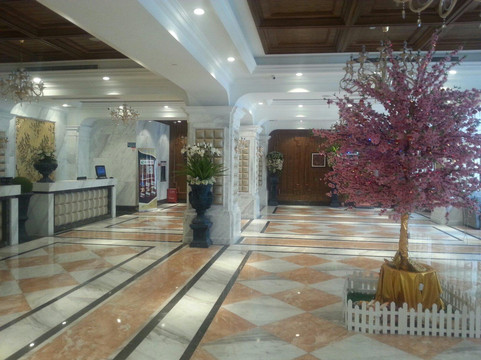 多瑙河大酒店主图