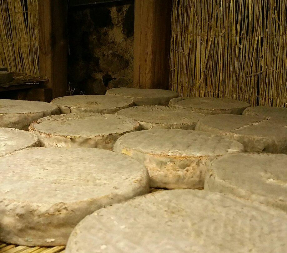 La Maison du Fromage景点图片