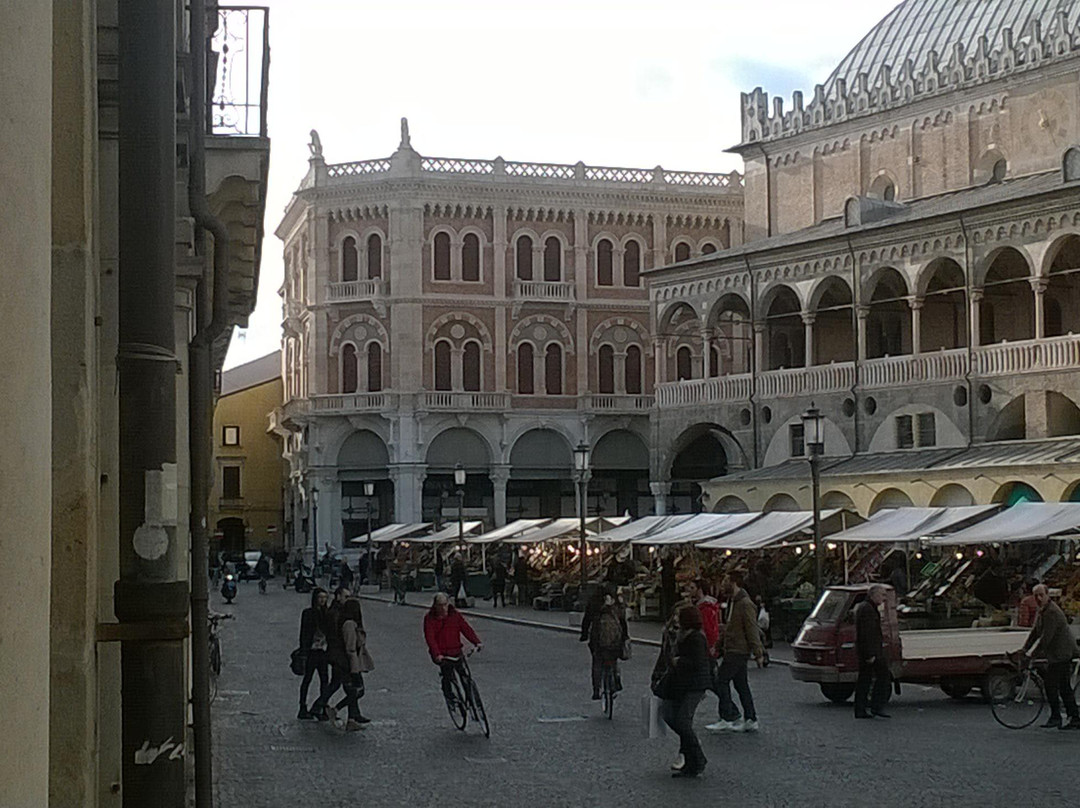 Palazzo delle Debite景点图片