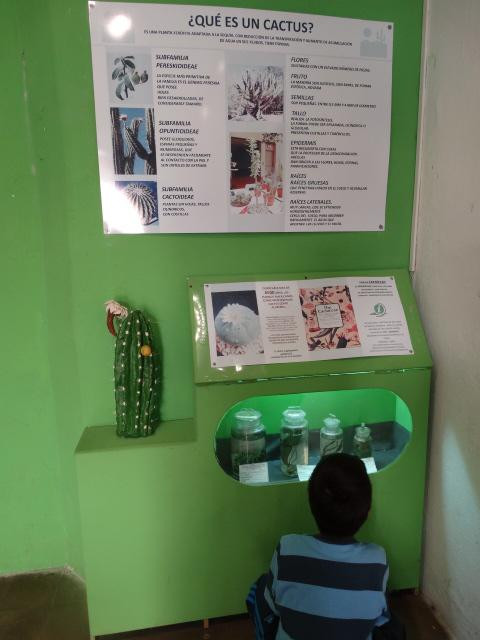 Museo Provincial de Ciencias Naturales y Antropologicas景点图片