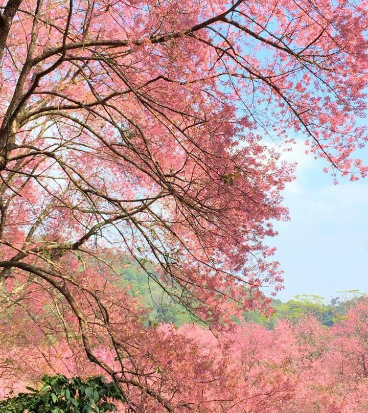 坤昌阡-清迈必去景点