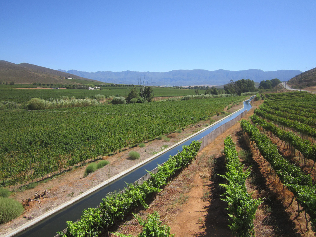 Esona Boutique Wine Estate-Robertson必去景点