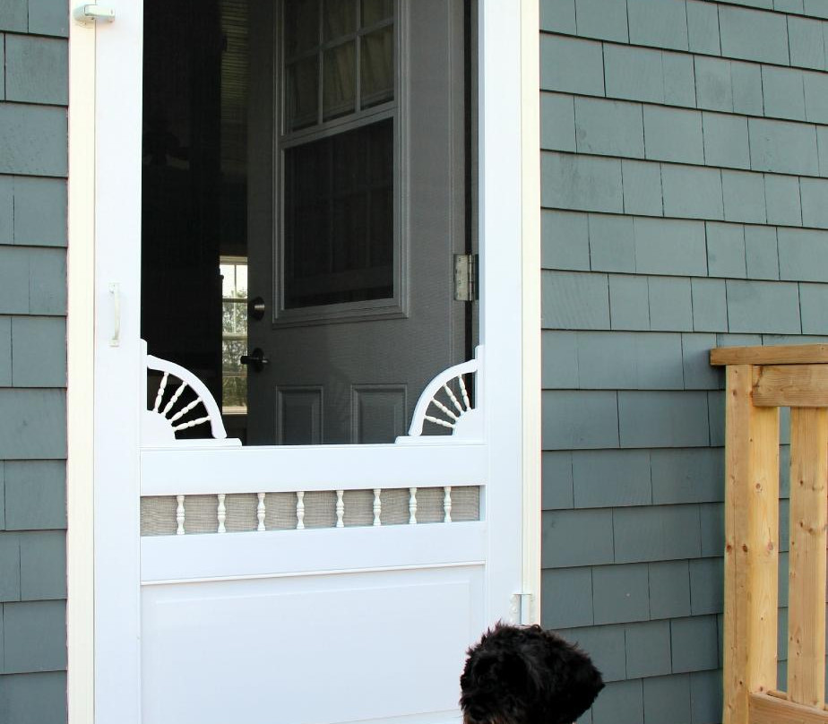 Evening Primrose主图