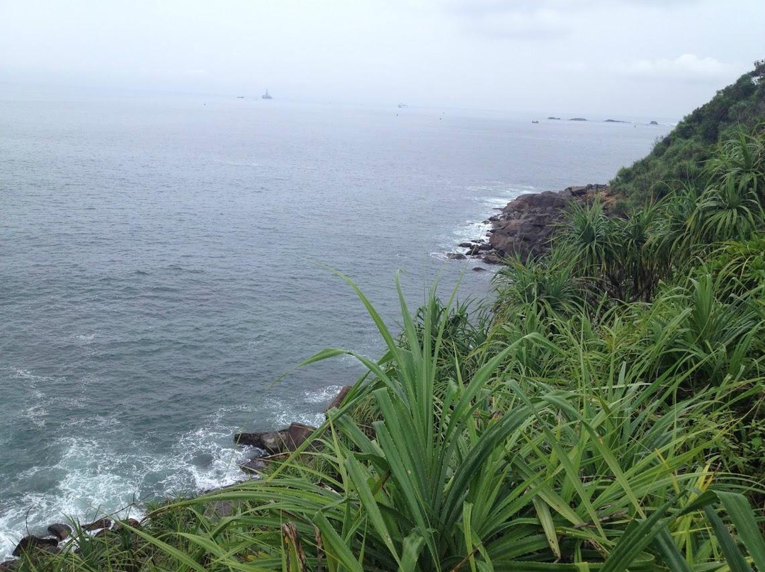 Tropical Tree Villa Galle主图