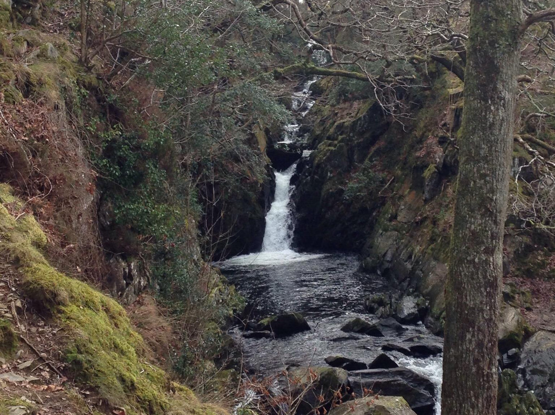 Nantcol Waterfalls景点图片