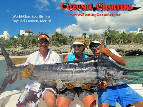 Cozumel Charters-阿范特拉斯港必去景点