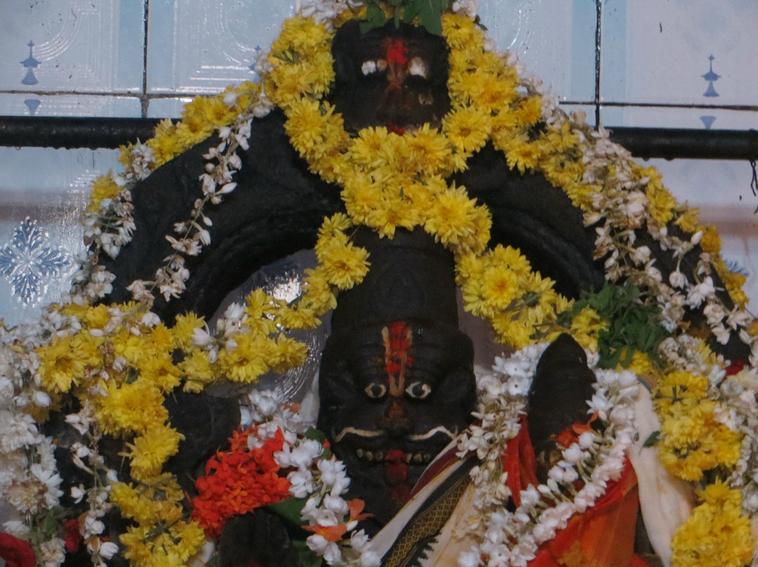 Nadi Narasimhaswamy Temple景点图片