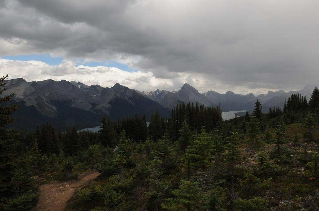 Bald Hills-贾斯珀必去景点