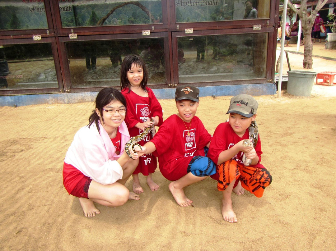 Kusuma Tour - Day Tours-登巴萨必去景点