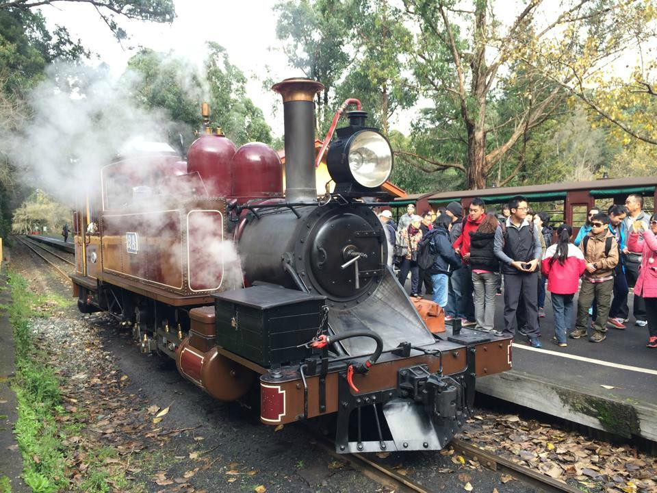 Melbourne Victoria Tours Day Tours景点图片