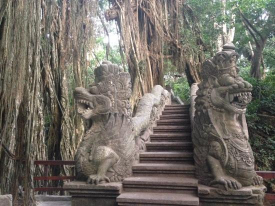Bali Budha Tours-吉安雅必去景点