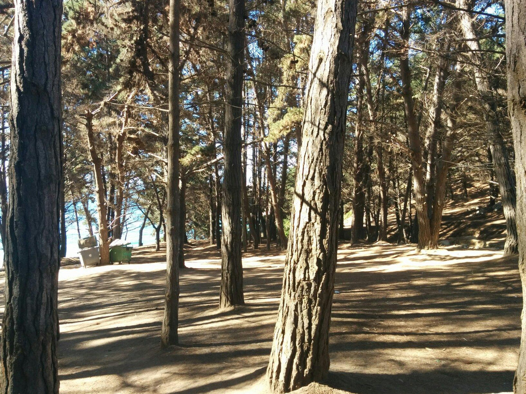 Playa Canelo-瓦尔帕莱索必去景点