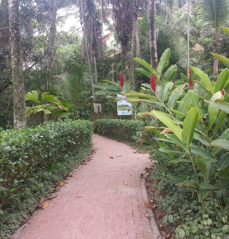 Praia do Iporanga-瓜鲁雅必去景点