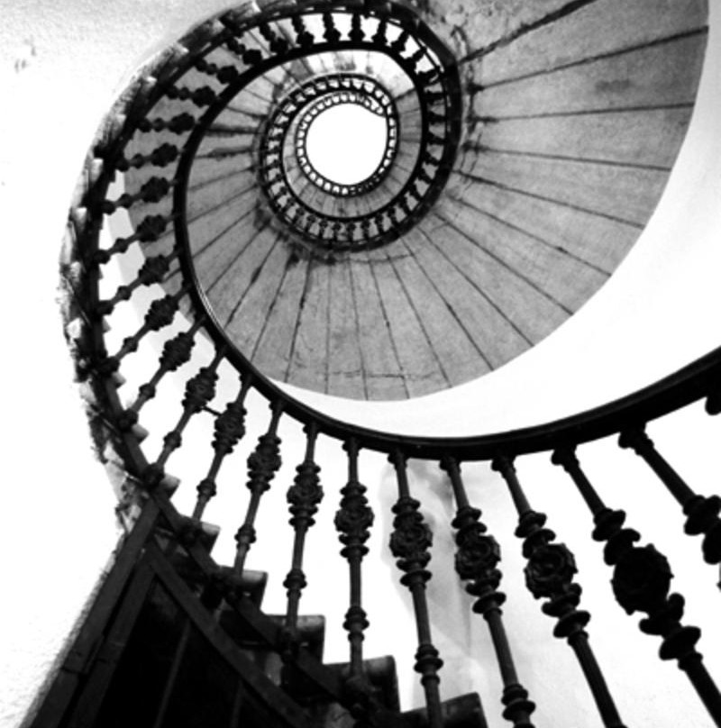 Photoh Beginner Photography Course-布里斯班必去景点