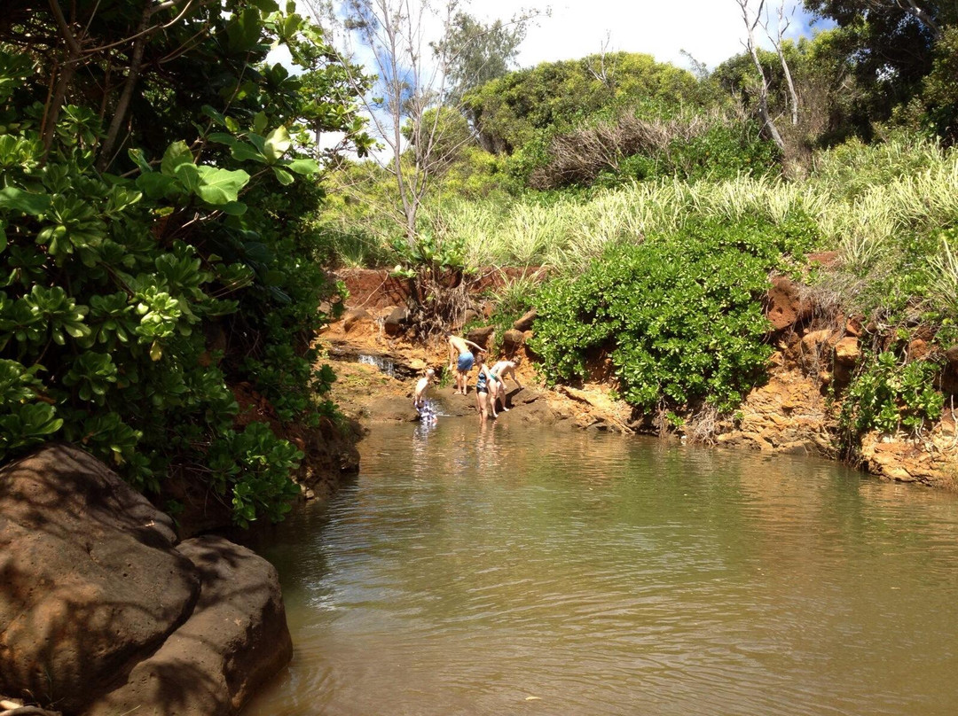Kapaa Beach Shop-卡帕阿必去景点