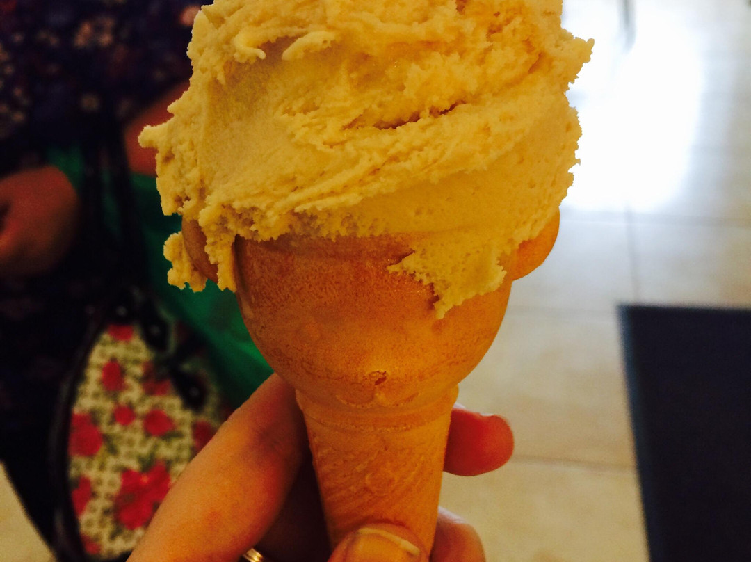 Matlock Meadows IceCream Parlour & Coffee Shop-马特洛克必去景点