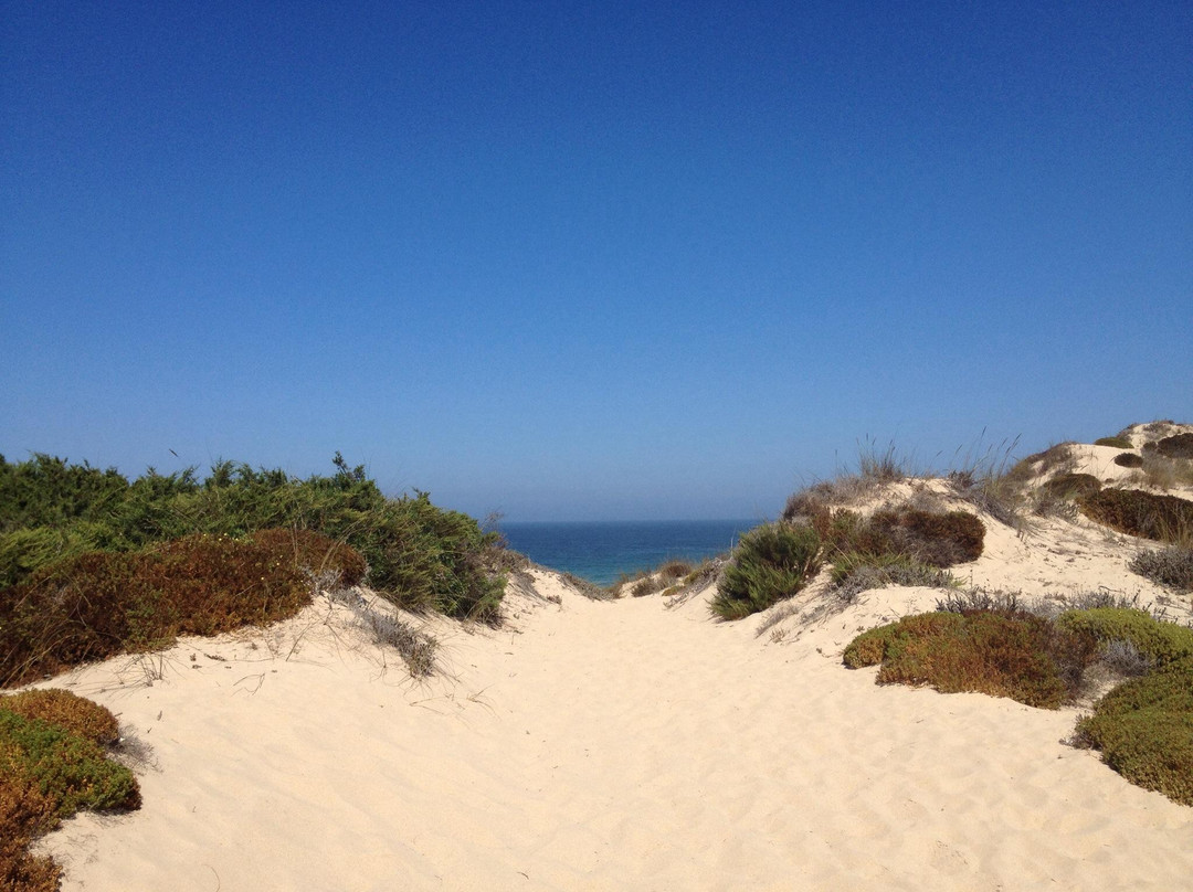 Praia do Malhão景点图片