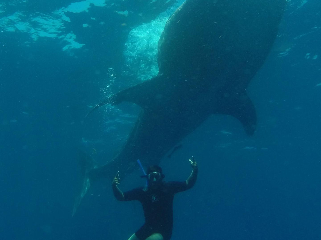 Explora Mexico Riviera Maya-普拉亚德尔卡曼必去景点