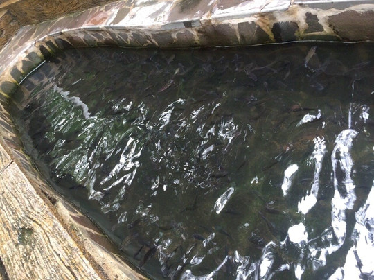 Luljetta's Hanging Gardens and Spa-Antipolo City必去景点