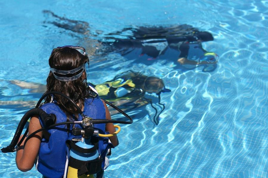 Diving in Elba Biodola景点图片