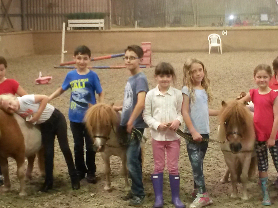 Sicklinghall Pony Parties景点图片