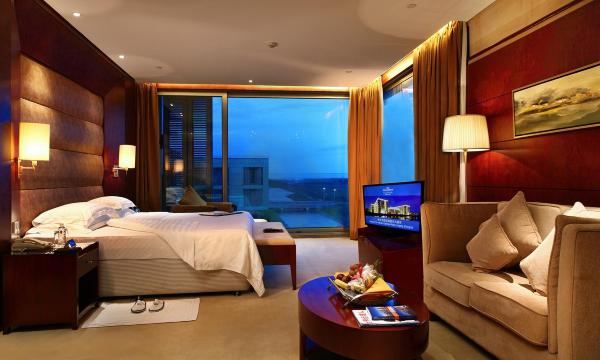 临港豪生大酒店-官方