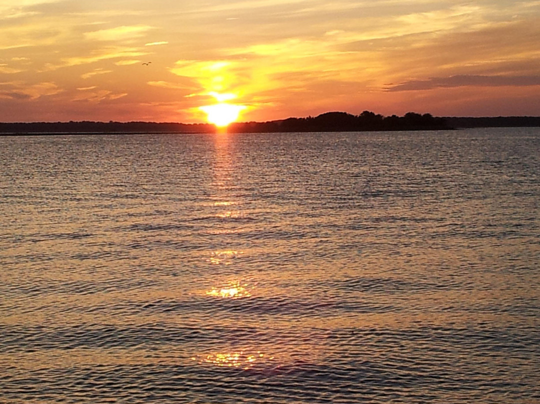Nature Center Of Cape May (seasonal)-开普梅必去景点