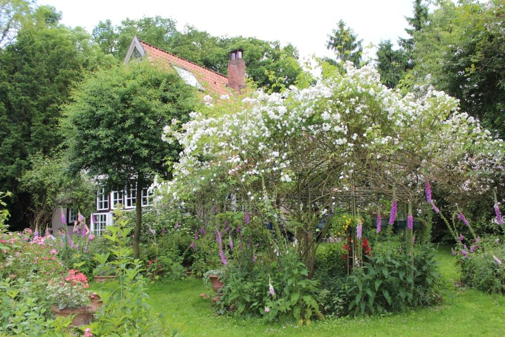 Sottrum餐馆和美食-Cafe Im Rilke-Haus