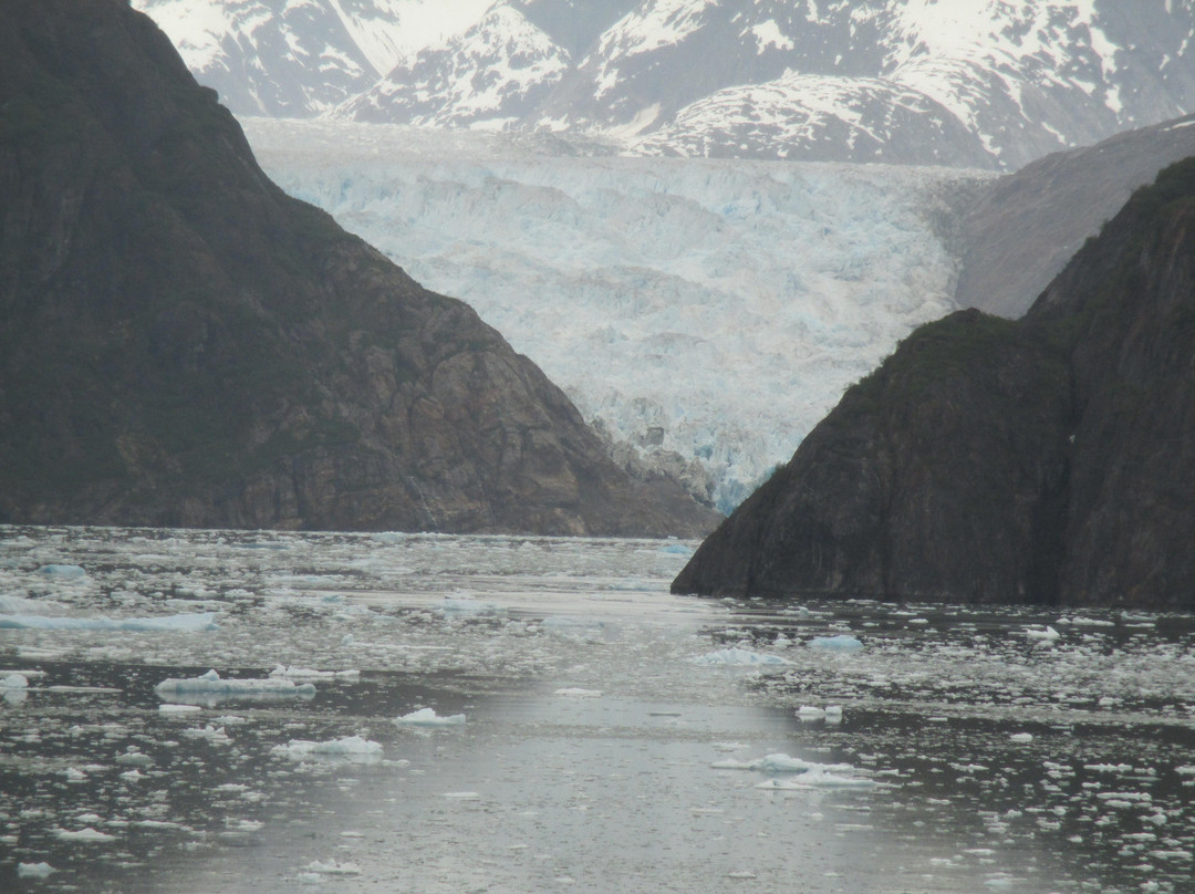 Sawyer Glacier-朱诺必去景点