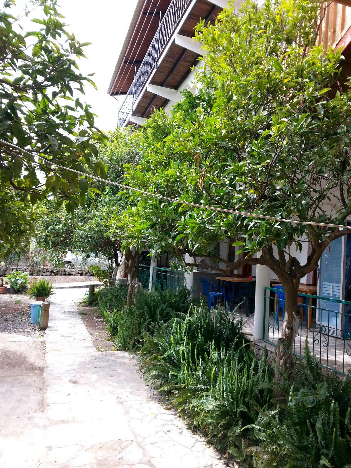 Yoruk Park Cirali-酒店景观