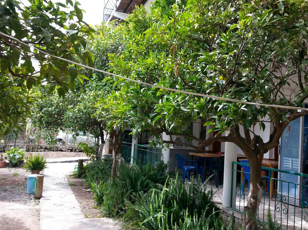 Ulupinar酒店住宿-Yoruk Park Cirali