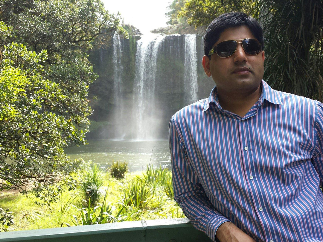 Whangarei Falls景点图片