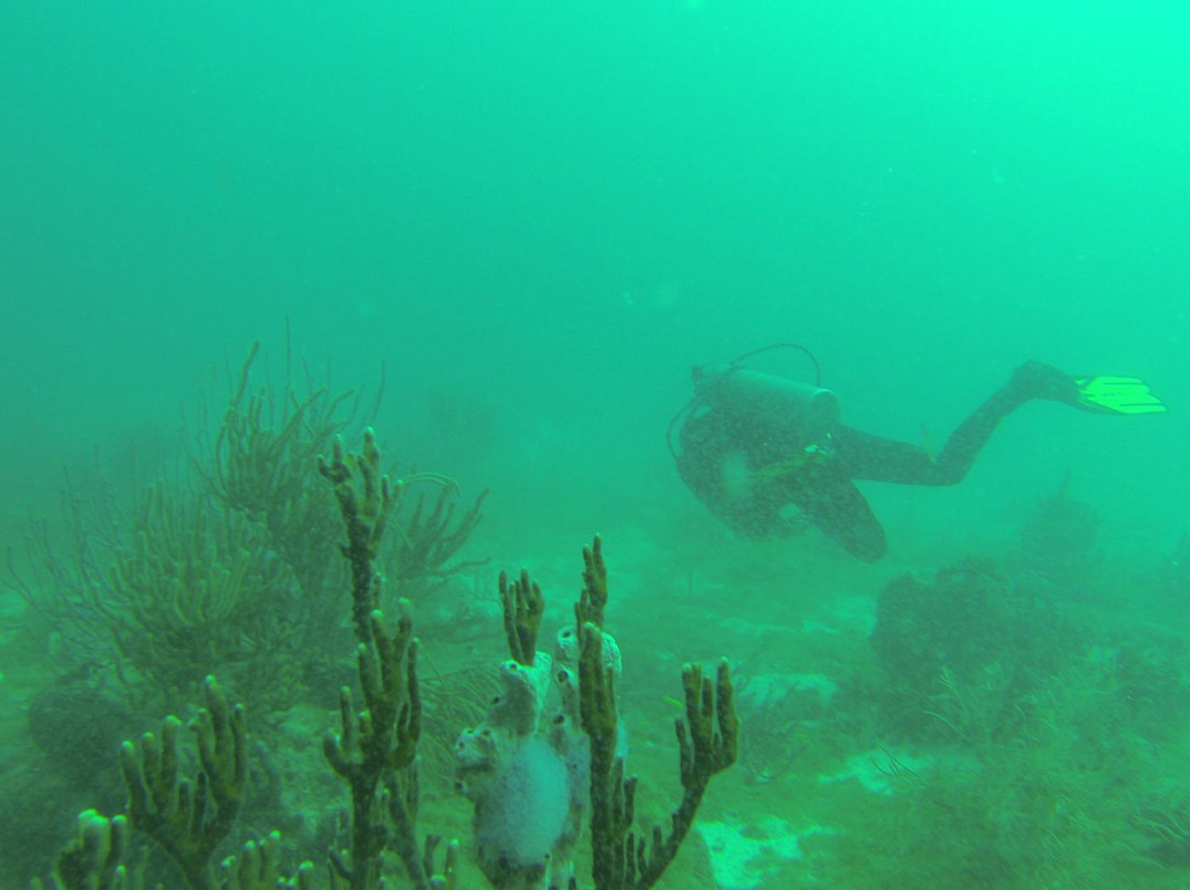 Malmok Reef-棕榈/鹰海滩必去景点