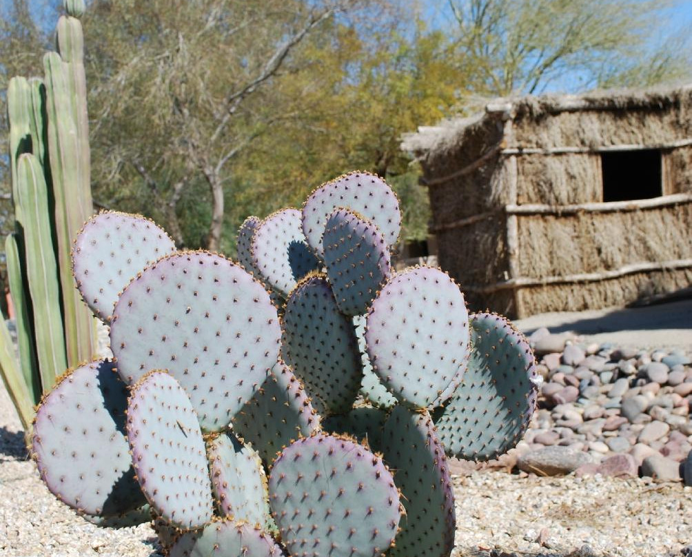 Cocopah Museum-Somerton必去景点
