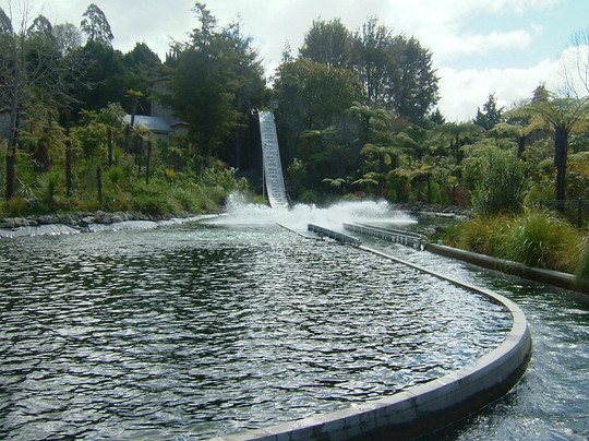 彩虹泉自然公园-罗托鲁瓦必去景点