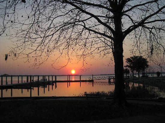 Trimble Park-Mount Dora必去景点