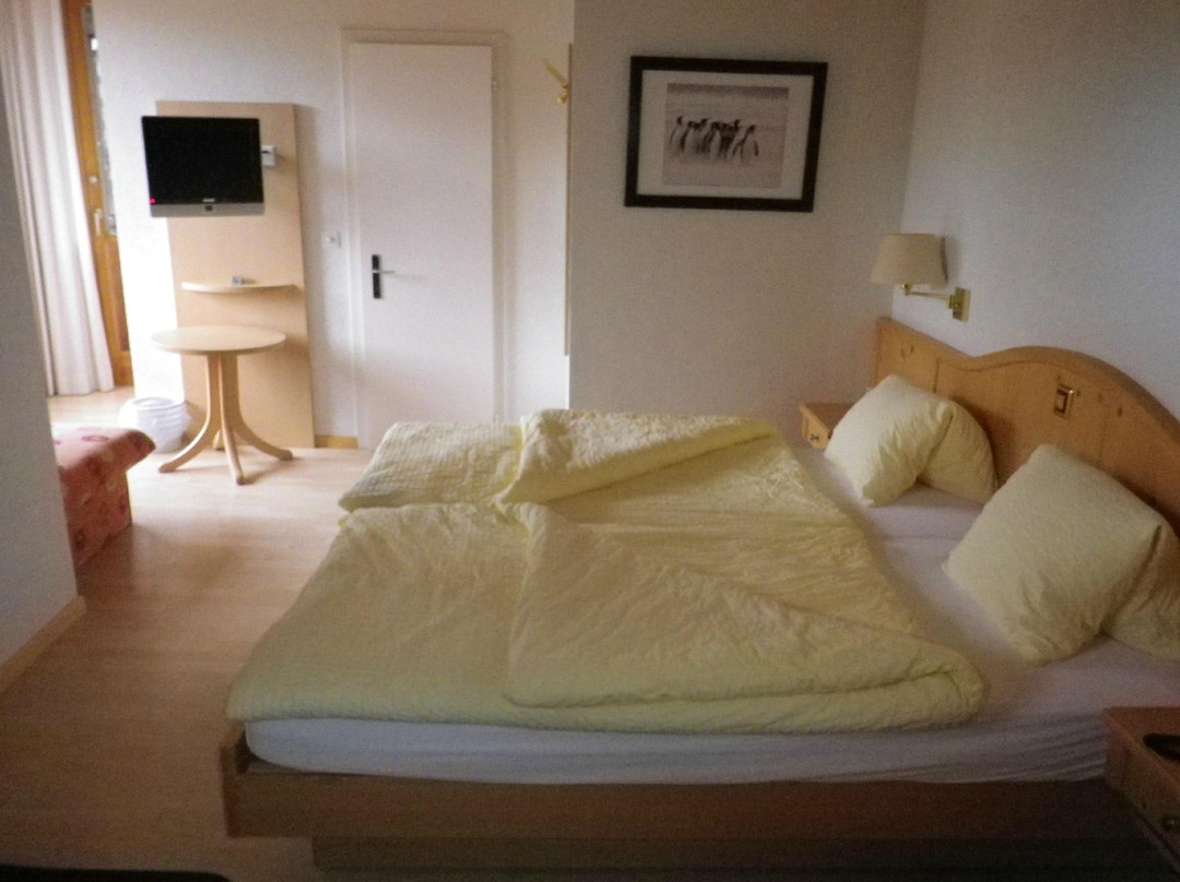Hotel Alpina主图