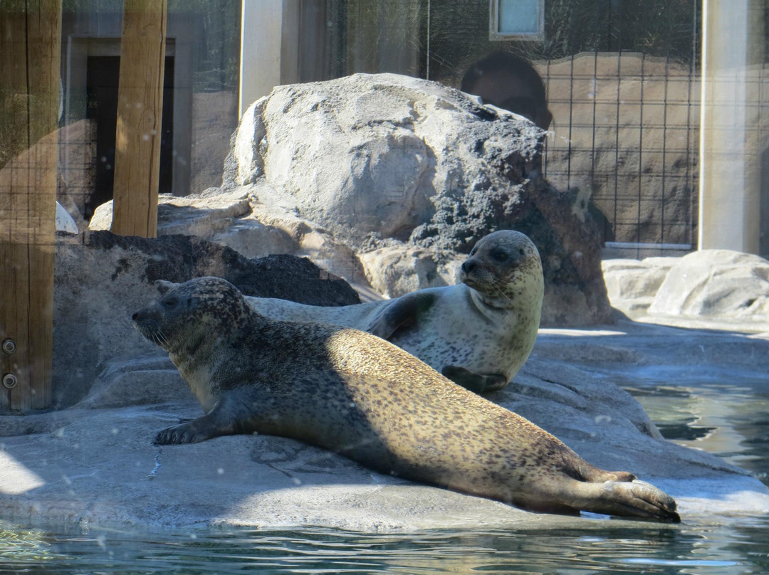 犹他州霍格尔动物园-盐湖城必去景点