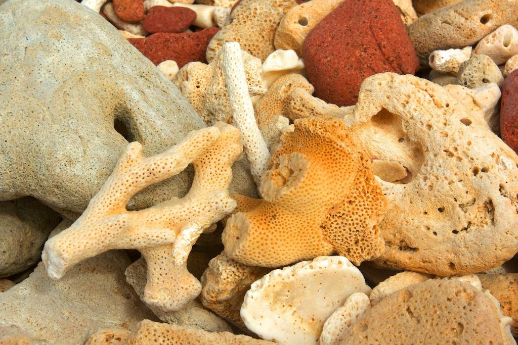 Dihamri Marine Protected Area景点图片