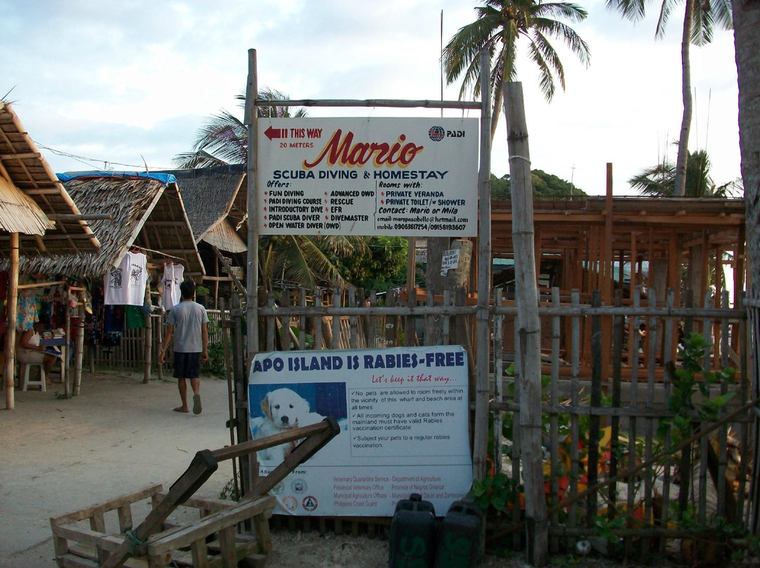 Mario's Scuba Diving and Homestay