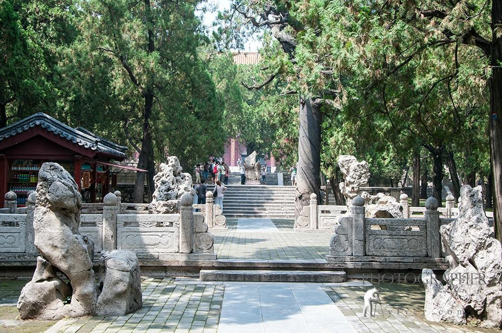 岱庙-泰安市必去景点