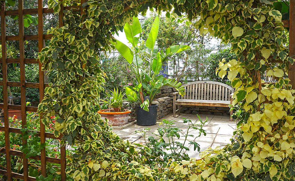 Royal Botanical Gardens-伯灵顿必去景点