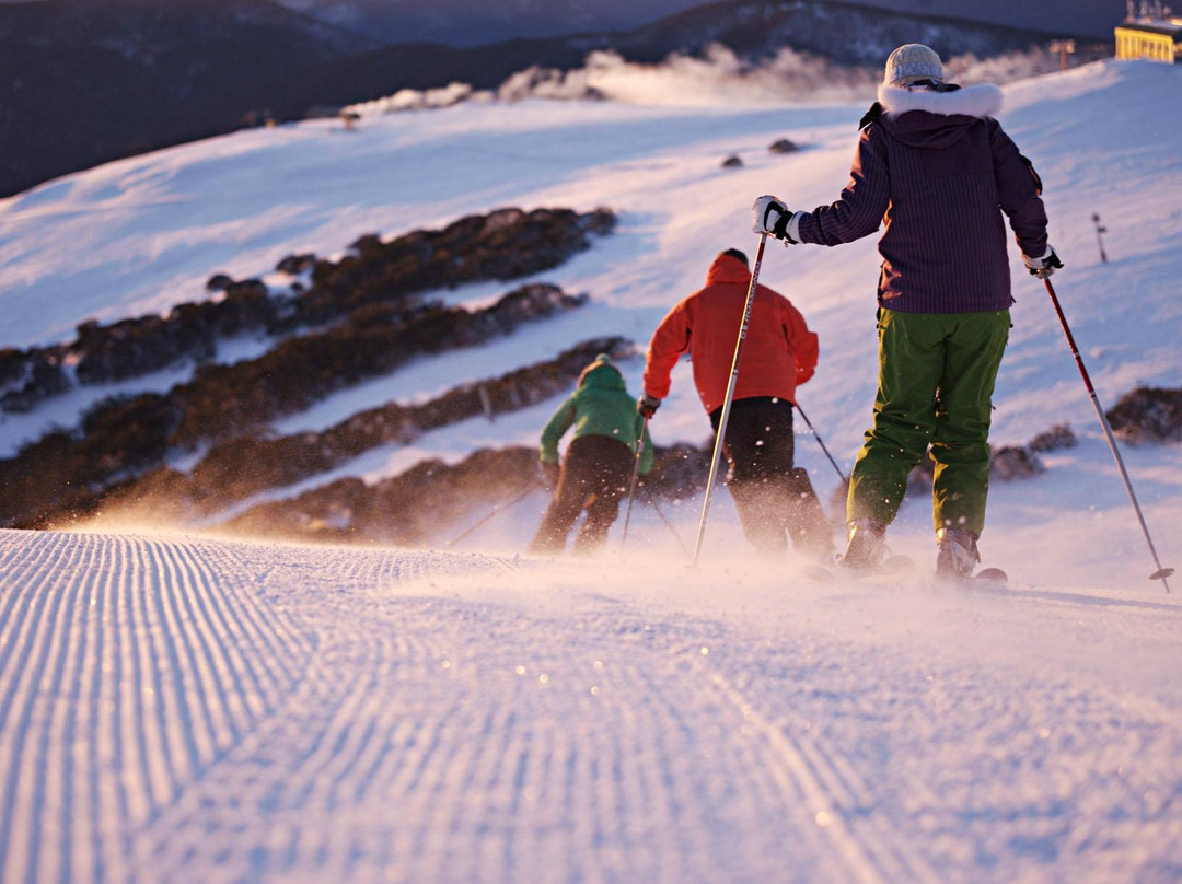 墨尔本最佳一日游-墨尔本必去景点