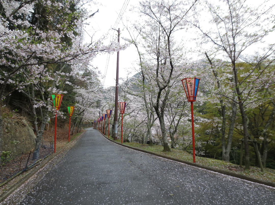 Tatsuno Park-龙野市必去景点